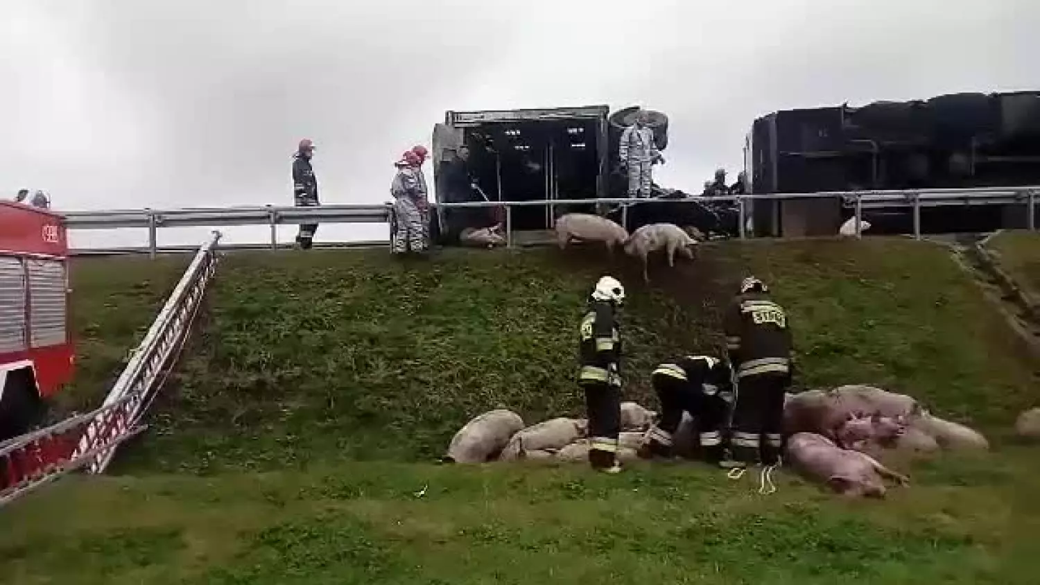 video-1508759922.mp4