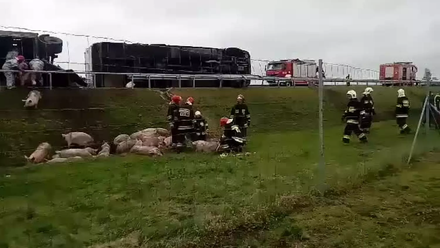 video-1508760935.mp4