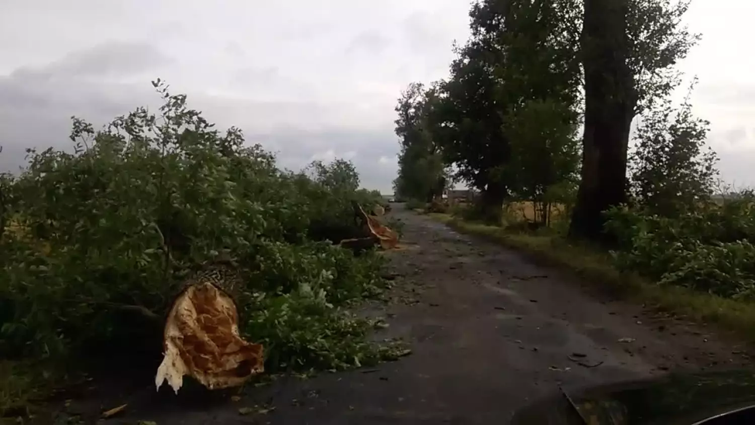 wp-20170812-09-32-36-pro.mp4