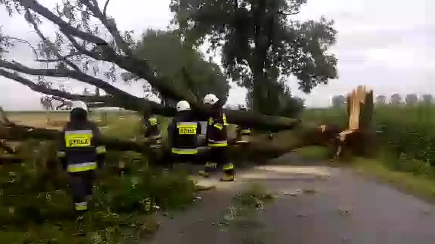 2017-08-video-1502345199.mp4