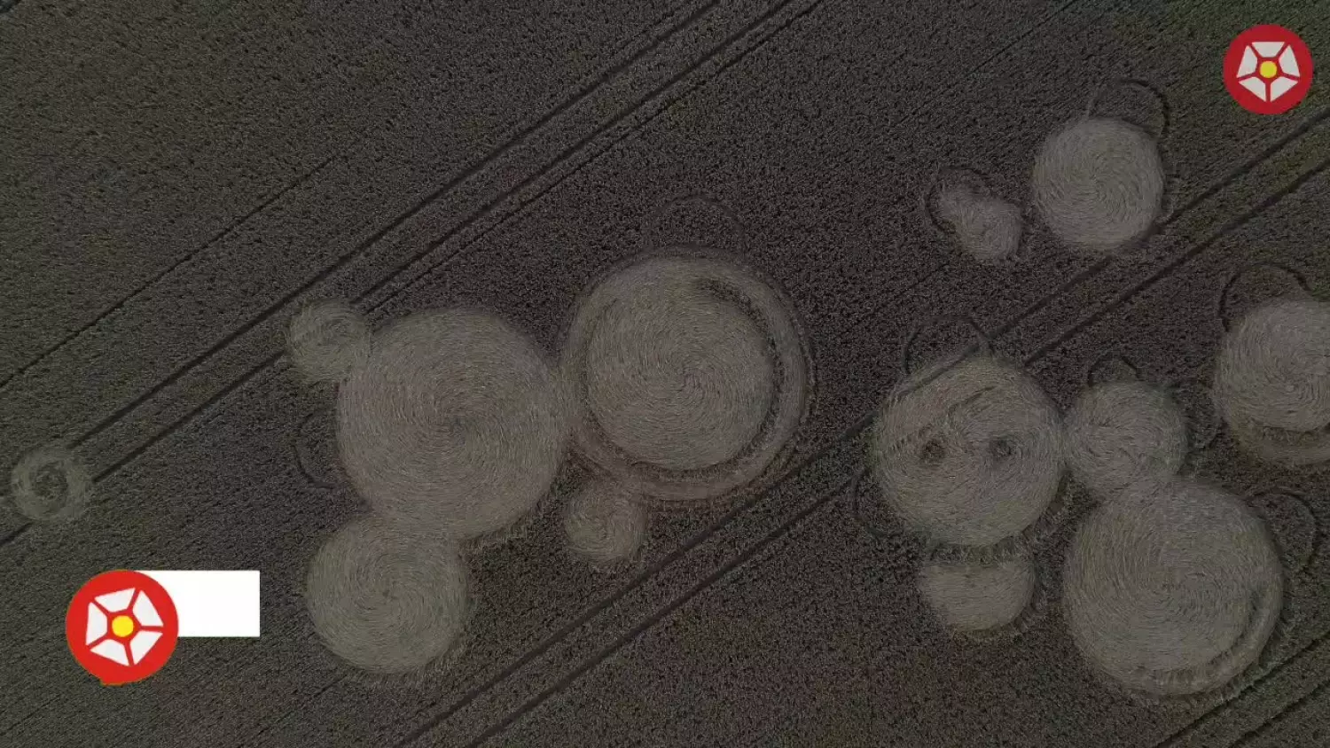 tajemnicze-kregi-w-zbozu.mp4