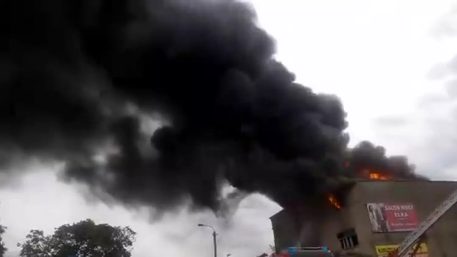 video-1498141211.mp4