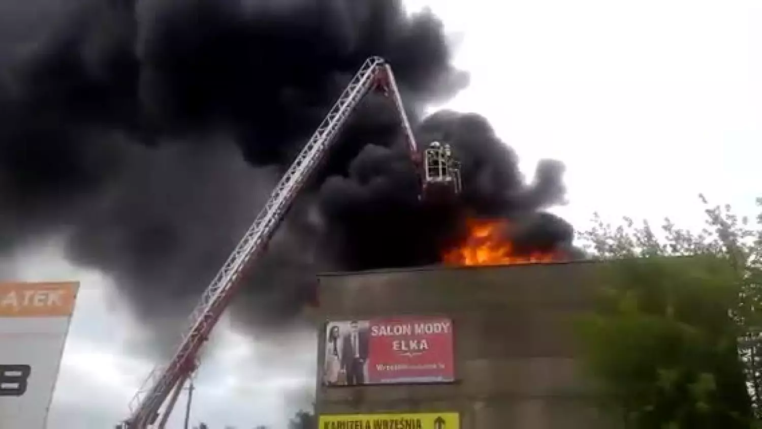 video-1498140855.mp4