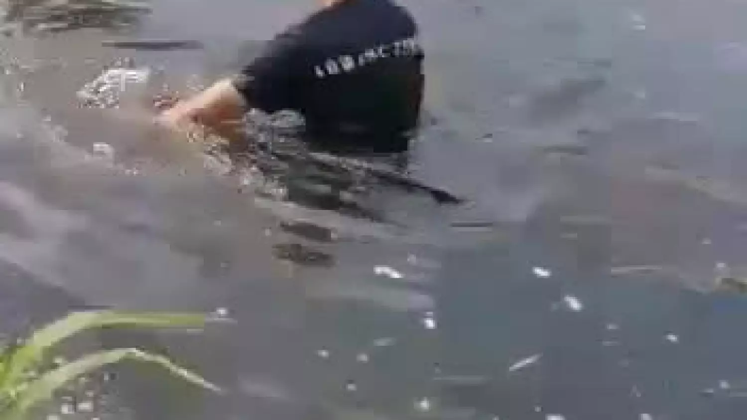 video-1594044435.mp4