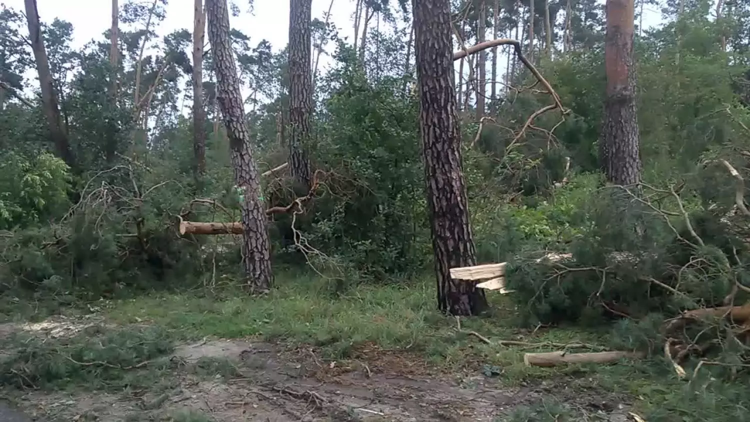 wp-20170812-09-12-32-pro.mp4