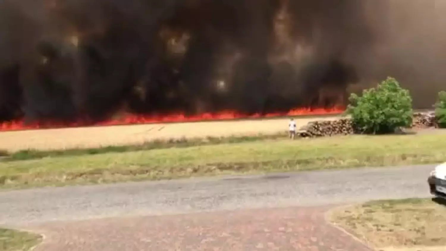 361106829-23890722957179716-188110997069696205-n.mp4