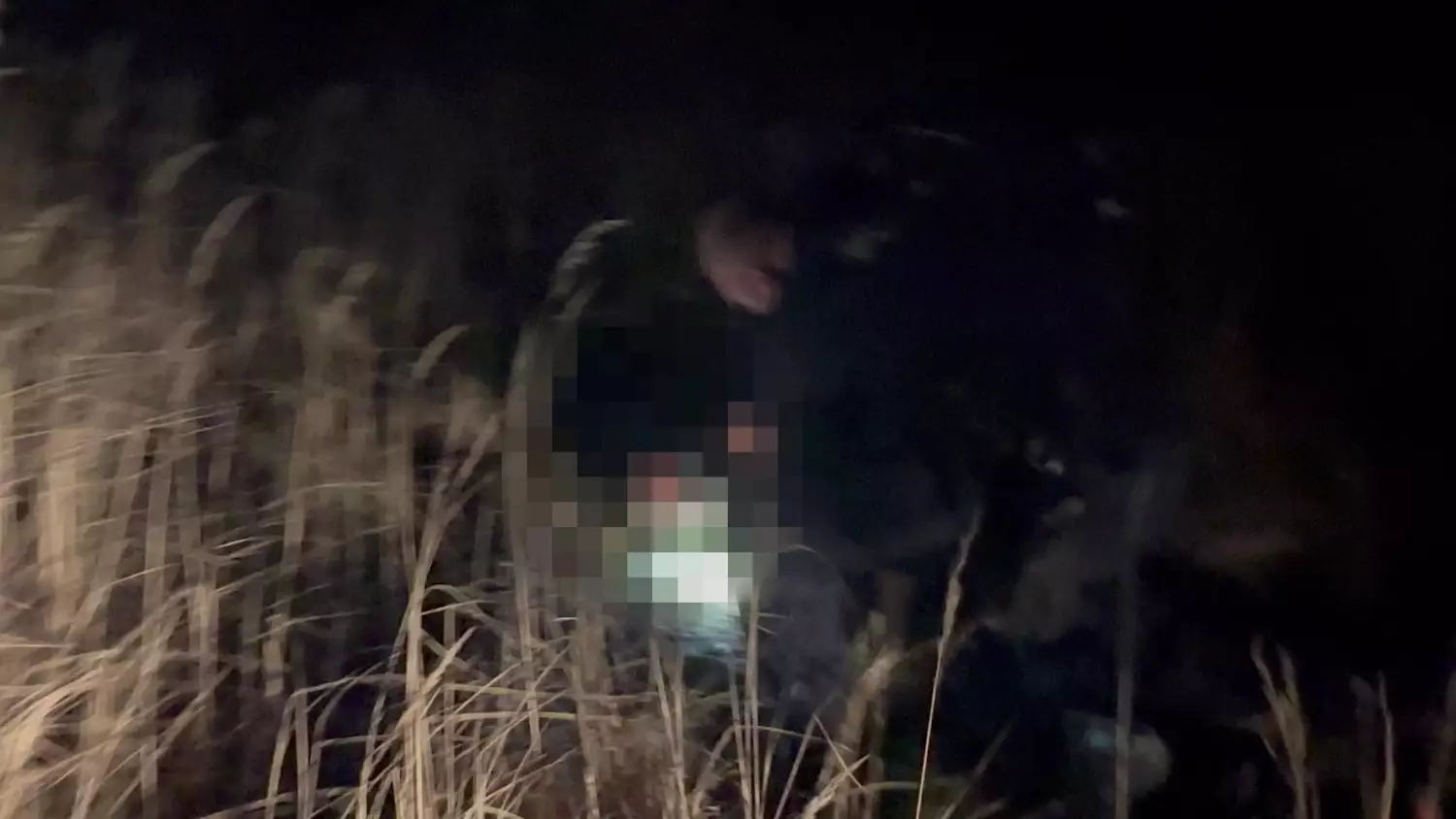 video-output-94b4648c-fe2b-447a-902b-c8f0de76f026.mp4